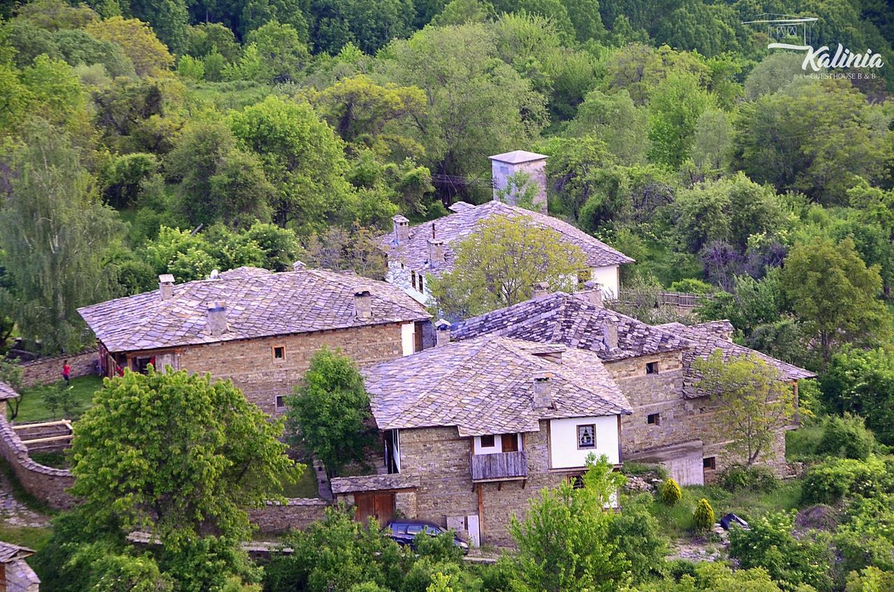 Kalinia Guesthouse B&B Kovačevica Exterior foto