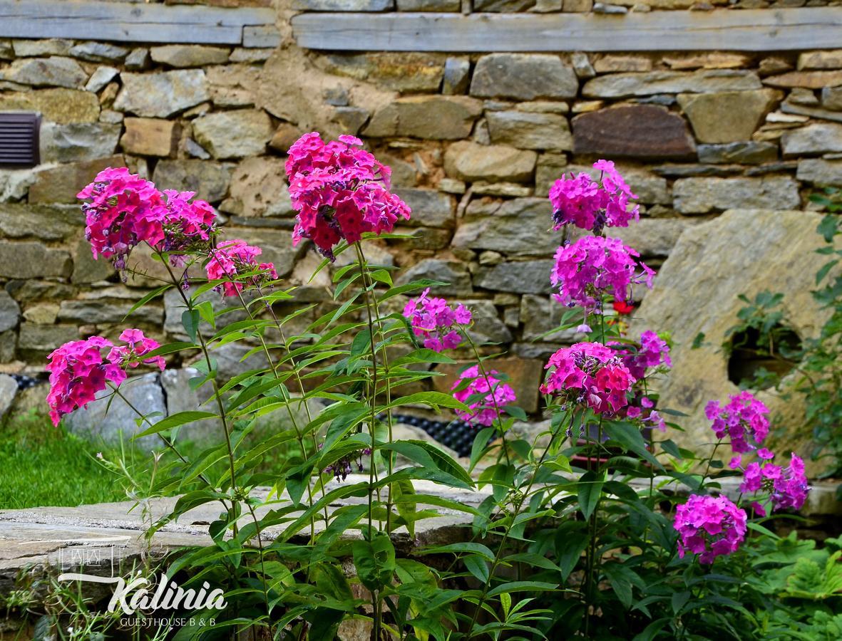 Kalinia Guesthouse B&B Kovačevica Exterior foto