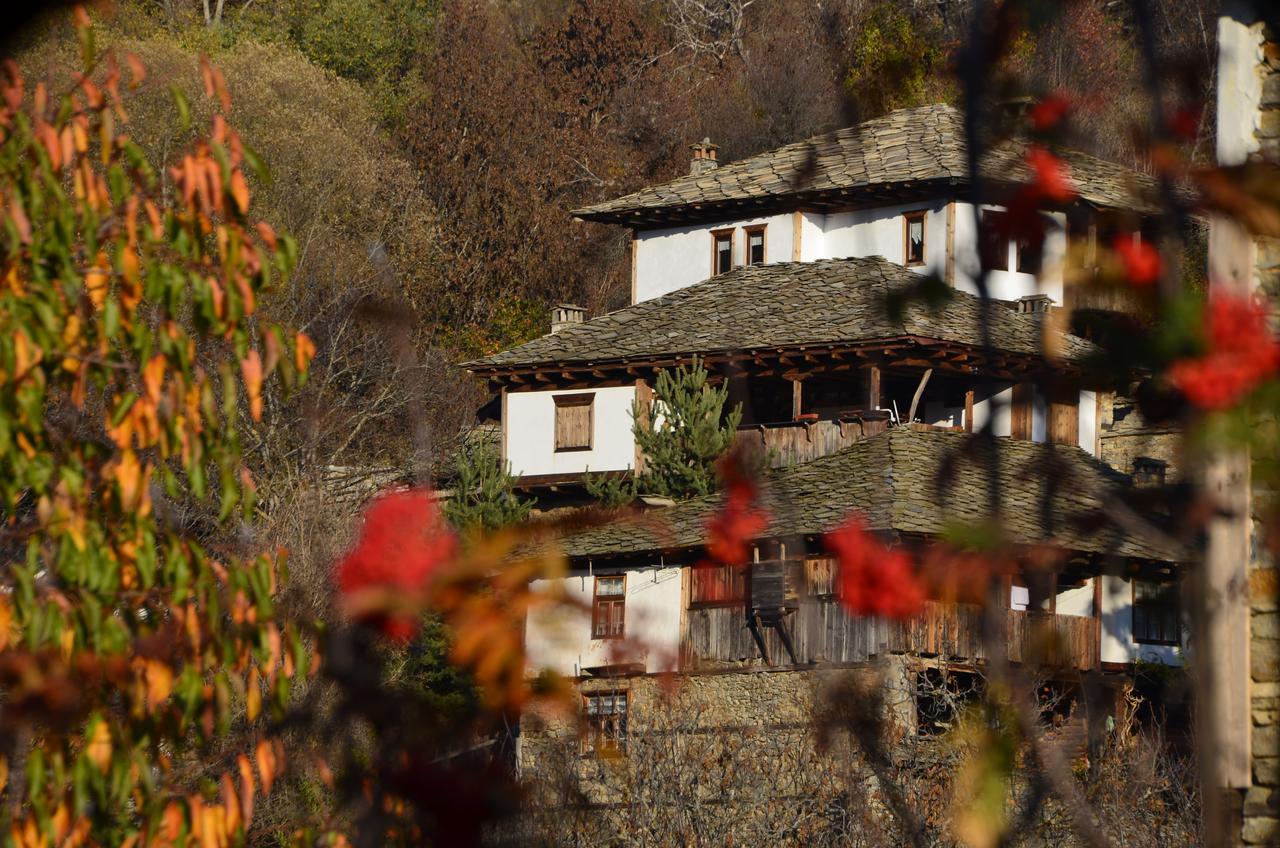 Kalinia Guesthouse B&B Kovačevica Exterior foto