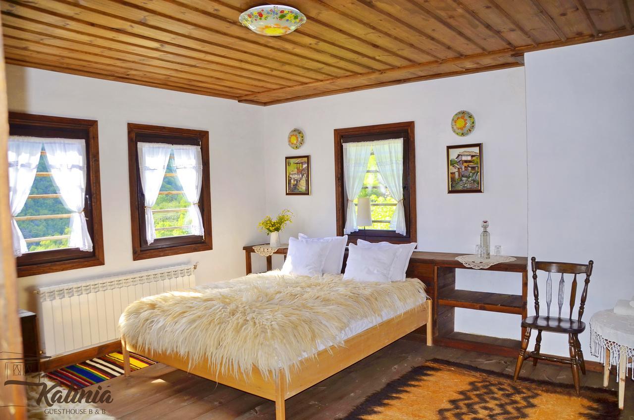 Kalinia Guesthouse B&B Kovačevica Exterior foto