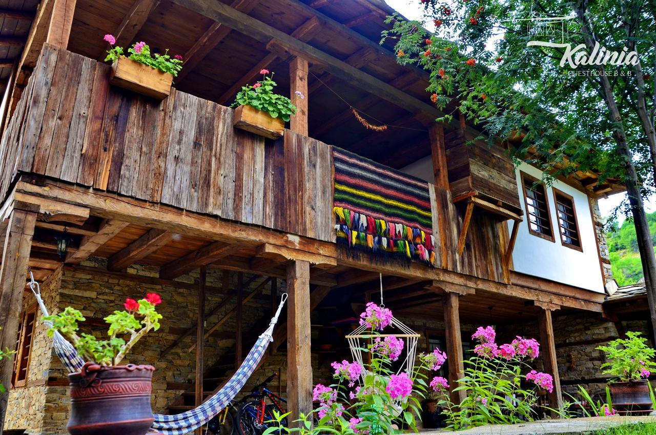 Kalinia Guesthouse B&B Kovačevica Exterior foto
